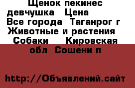 Щенок пекинес девчушка › Цена ­ 2 500 - Все города, Таганрог г. Животные и растения » Собаки   . Кировская обл.,Сошени п.